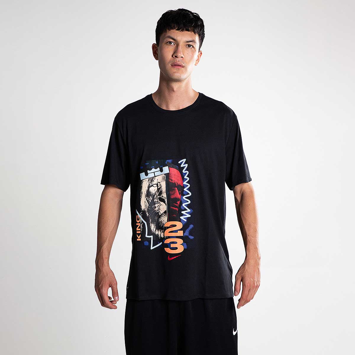 camiseta Nike Lebron Dry lion 923703-010